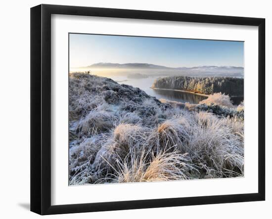 Ireland, Co.Donegal, Mulroy bay, winter landscape-Shaun Egan-Framed Photographic Print