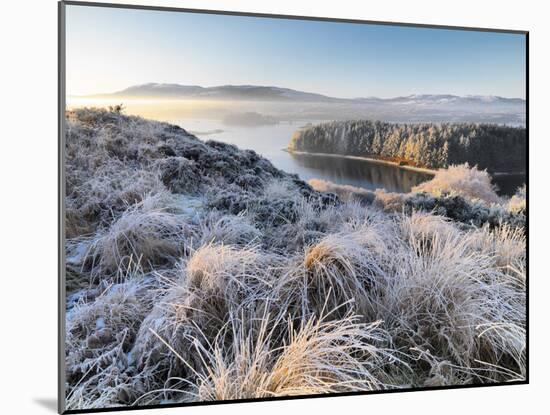 Ireland, Co.Donegal, Mulroy bay, winter landscape-Shaun Egan-Mounted Photographic Print