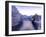 Ireland, Co.Donegal, Ramelton, River lennon in winter, House by river (PR)-Shaun Egan-Framed Photographic Print