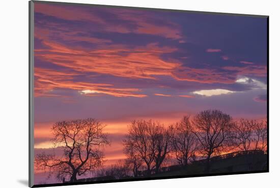 Ireland, County Antrim, Ballymoney, sunrise by The Dark Hedges-Walter Bibikow-Mounted Photographic Print