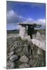 Ireland, County Clare, Burren, Poulnabrone Dolmen-null-Mounted Giclee Print