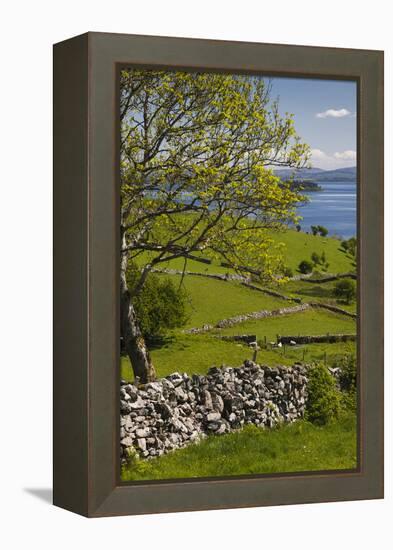 Ireland, County Galway, Cong, elevated springtime landscape-Walter Bibikow-Framed Premier Image Canvas