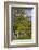 Ireland, County Galway, Cong, elevated springtime landscape-Walter Bibikow-Framed Photographic Print