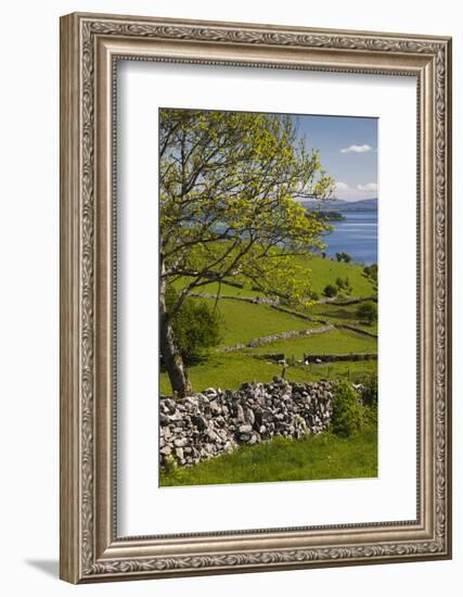 Ireland, County Galway, Cong, elevated springtime landscape-Walter Bibikow-Framed Photographic Print