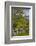 Ireland, County Galway, Cong, elevated springtime landscape-Walter Bibikow-Framed Photographic Print