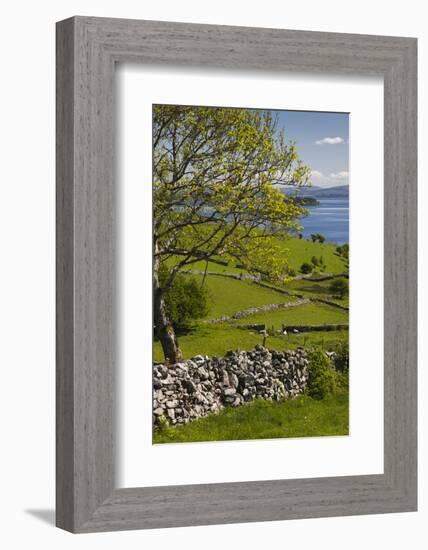 Ireland, County Galway, Cong, elevated springtime landscape-Walter Bibikow-Framed Photographic Print