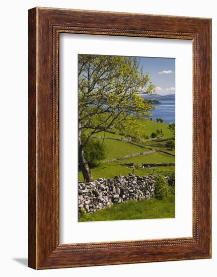 Ireland, County Galway, Cong, elevated springtime landscape-Walter Bibikow-Framed Photographic Print