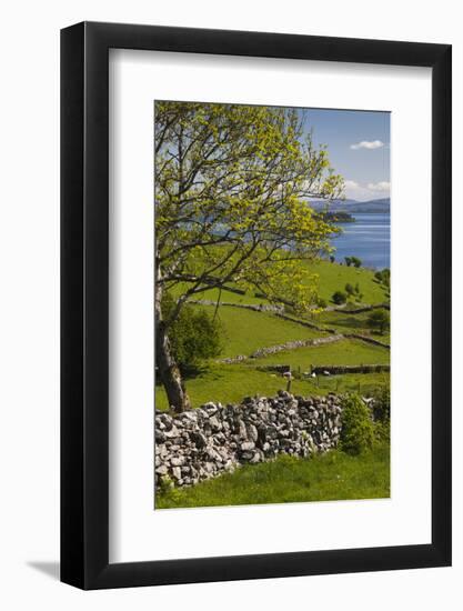 Ireland, County Galway, Cong, elevated springtime landscape-Walter Bibikow-Framed Photographic Print
