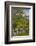 Ireland, County Galway, Cong, elevated springtime landscape-Walter Bibikow-Framed Photographic Print