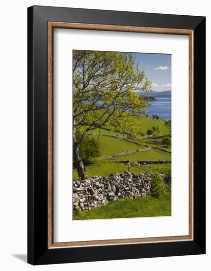 Ireland, County Galway, Cong, elevated springtime landscape-Walter Bibikow-Framed Photographic Print