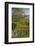 Ireland, County Galway, Cong, elevated springtime landscape-Walter Bibikow-Framed Photographic Print