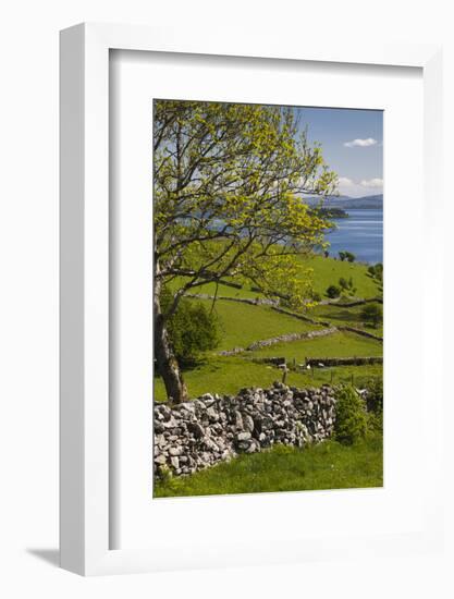 Ireland, County Galway, Cong, elevated springtime landscape-Walter Bibikow-Framed Photographic Print