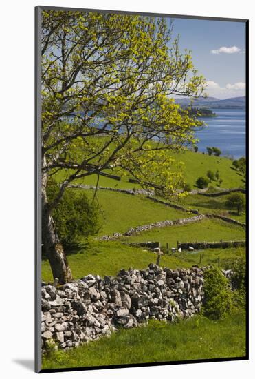 Ireland, County Galway, Cong, elevated springtime landscape-Walter Bibikow-Mounted Photographic Print