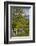 Ireland, County Galway, Cong, elevated springtime landscape-Walter Bibikow-Framed Photographic Print