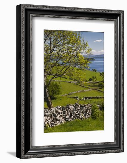 Ireland, County Galway, Cong, elevated springtime landscape-Walter Bibikow-Framed Photographic Print