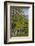 Ireland, County Galway, Cong, elevated springtime landscape-Walter Bibikow-Framed Photographic Print