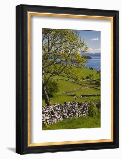 Ireland, County Galway, Cong, elevated springtime landscape-Walter Bibikow-Framed Photographic Print