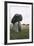 Ireland, County Louth, Ballymascanlon, Proleek Dolmen-null-Framed Giclee Print