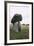 Ireland, County Louth, Ballymascanlon, Proleek Dolmen-null-Framed Giclee Print