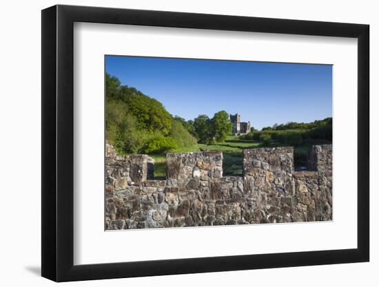 Ireland, County Wexford, Saltmills, Tintern Abbey-Walter Bibikow-Framed Photographic Print