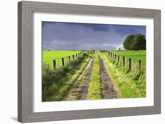 Ireland. Dirt road in County Roscommon-Jaynes Gallery-Framed Photographic Print