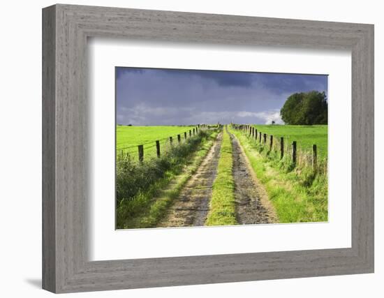 Ireland. Dirt road in County Roscommon-Jaynes Gallery-Framed Photographic Print