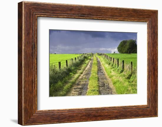 Ireland. Dirt road in County Roscommon-Jaynes Gallery-Framed Photographic Print