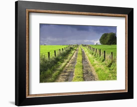 Ireland. Dirt road in County Roscommon-Jaynes Gallery-Framed Photographic Print