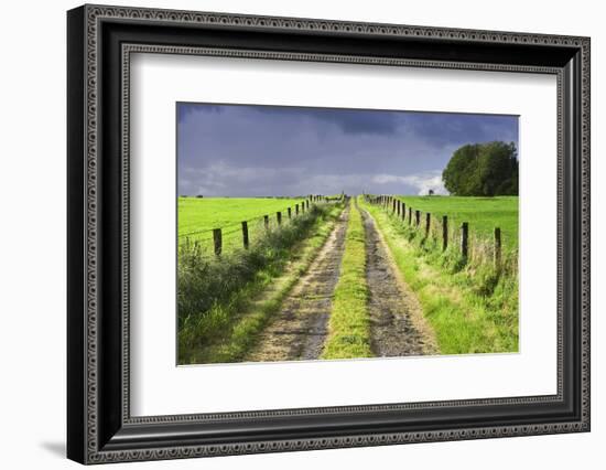 Ireland. Dirt road in County Roscommon-Jaynes Gallery-Framed Photographic Print