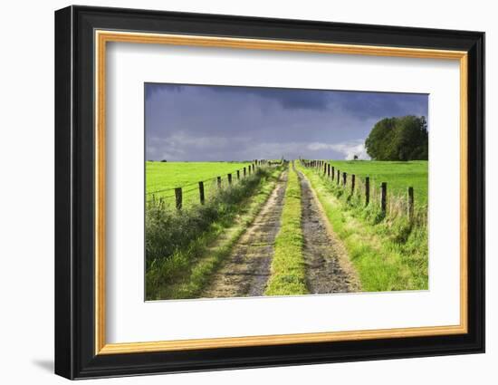 Ireland. Dirt road in County Roscommon-Jaynes Gallery-Framed Photographic Print