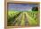 Ireland. Dirt road in County Roscommon-Jaynes Gallery-Framed Premier Image Canvas