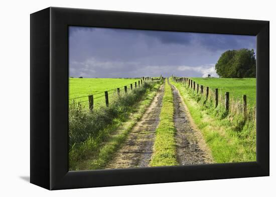 Ireland. Dirt road in County Roscommon-Jaynes Gallery-Framed Premier Image Canvas