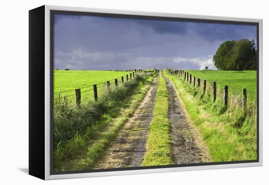 Ireland. Dirt road in County Roscommon-Jaynes Gallery-Framed Premier Image Canvas