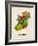 Ireland Eire Watercolor Map-Michael Tompsett-Framed Art Print