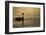 Ireland, Galway. Swan on Galway Bay-Jaynes Gallery-Framed Photographic Print