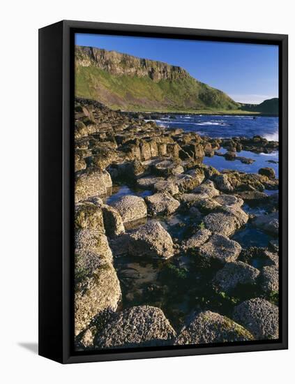 Ireland Giant's Causeway, Hexagonal Basalt Columns-null-Framed Premier Image Canvas