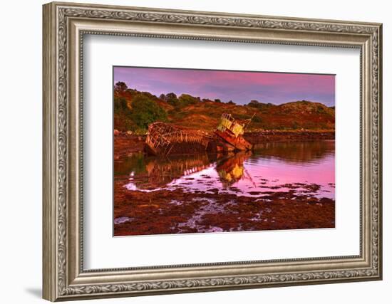 Ireland, Island Garinish, Castletownbere, Shipwreck, Evening Light-Thomas Ebelt-Framed Photographic Print