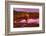 Ireland, Island Garinish, Castletownbere, Shipwreck, Evening Light-Thomas Ebelt-Framed Photographic Print