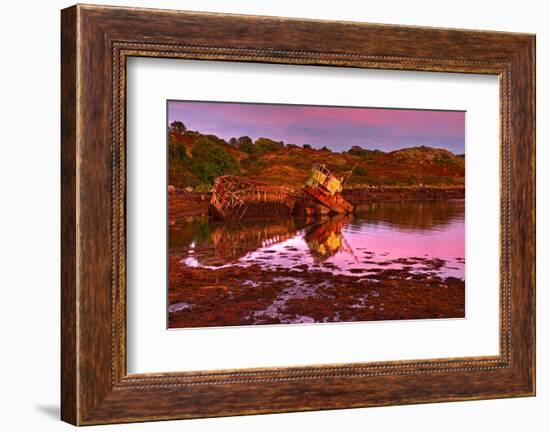 Ireland, Island Garinish, Castletownbere, Shipwreck, Evening Light-Thomas Ebelt-Framed Photographic Print