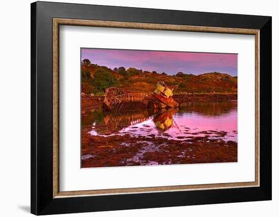 Ireland, Island Garinish, Castletownbere, Shipwreck, Evening Light-Thomas Ebelt-Framed Photographic Print