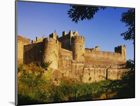 Ireland. Medieval Cahir Castle and River Suir-Jaynes Gallery-Mounted Photographic Print