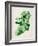 Ireland Watercolor Map-Michael Tompsett-Framed Art Print