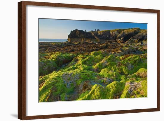 Ireland, Wicklow Coast-Thomas Ebelt-Framed Photographic Print