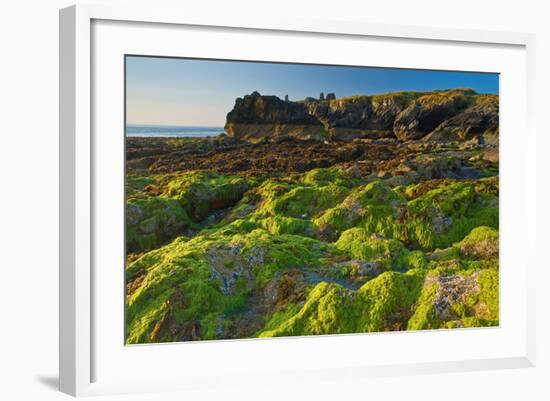 Ireland, Wicklow Coast-Thomas Ebelt-Framed Photographic Print