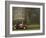 Ireland-null-Framed Photographic Print