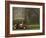 Ireland-null-Framed Photographic Print