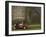 Ireland-null-Framed Photographic Print