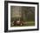 Ireland-null-Framed Photographic Print