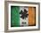 Ireland-Sheldon Lewis-Framed Art Print