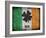 Ireland-Sheldon Lewis-Framed Art Print